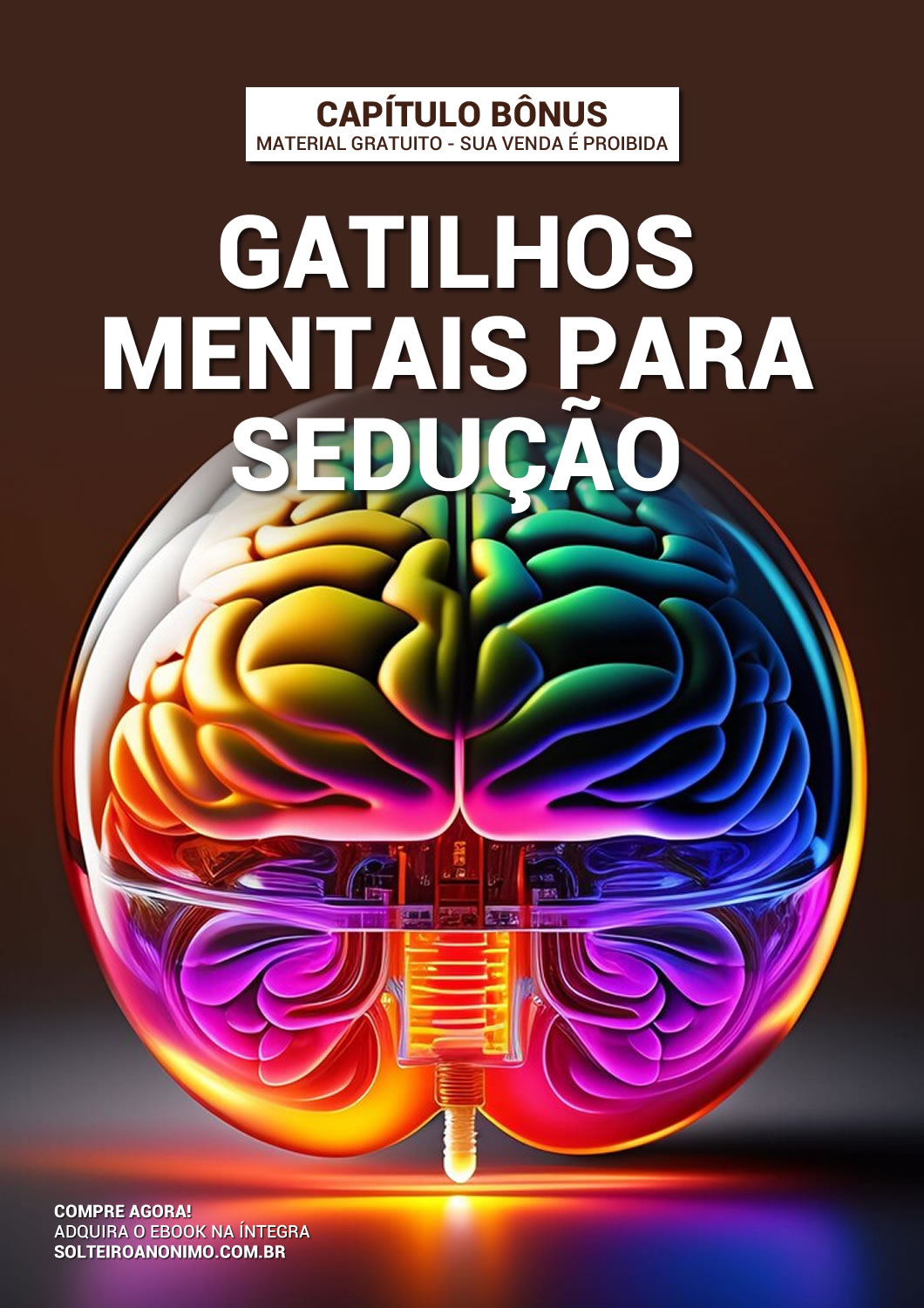 E-book bônus 2